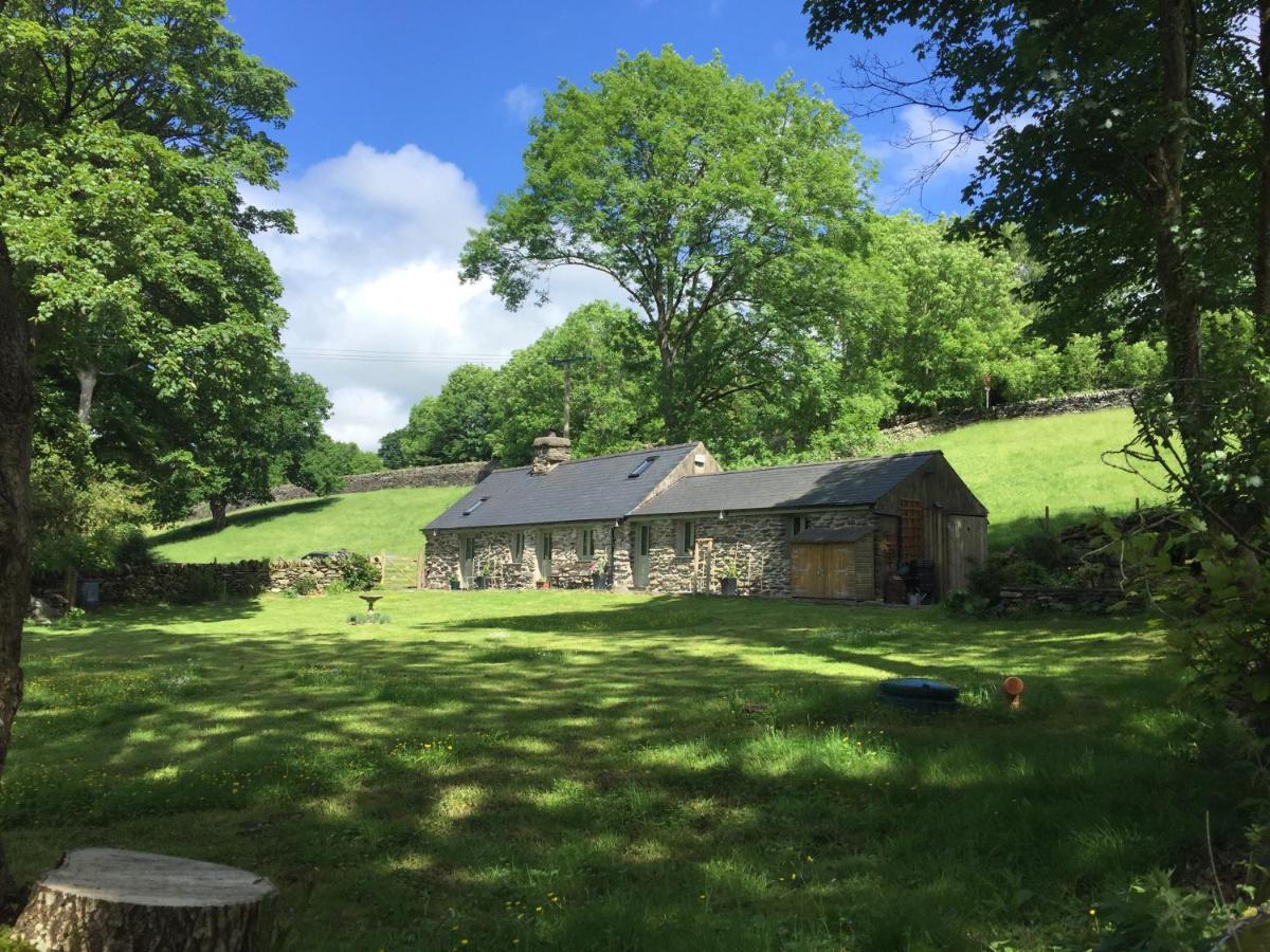 Glanrhyd Cottage ベトウス・ア・コーエド エクステリア 写真