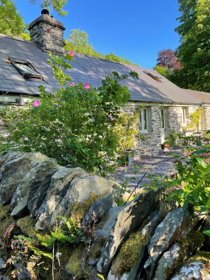 Glanrhyd Cottage ベトウス・ア・コーエド エクステリア 写真