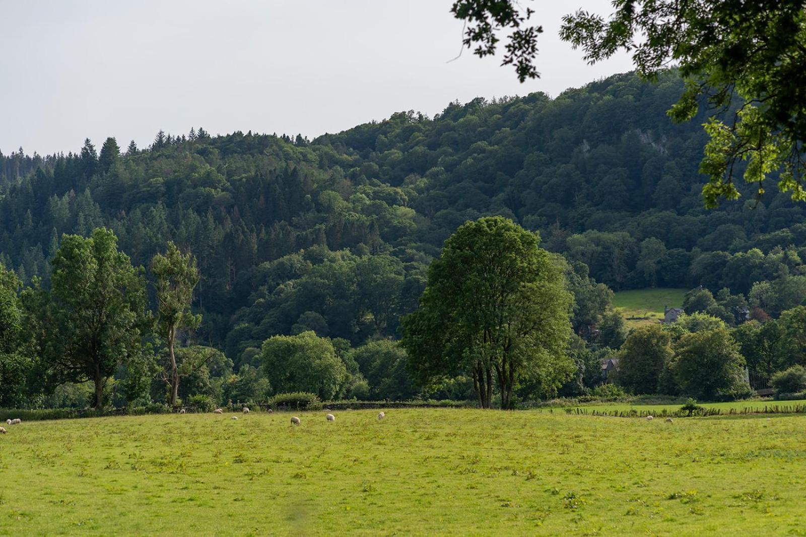 Glanrhyd Cottage ベトウス・ア・コーエド エクステリア 写真